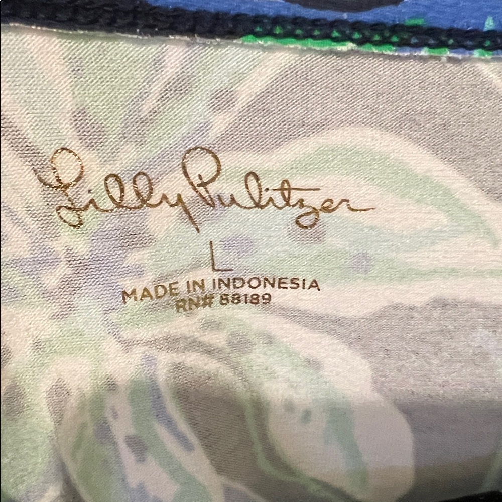 Lilly Pulitzer dress, large - Picture 3 of 9